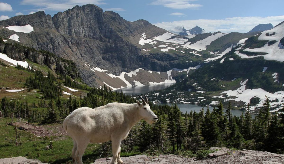 Glacier National Park, Montana