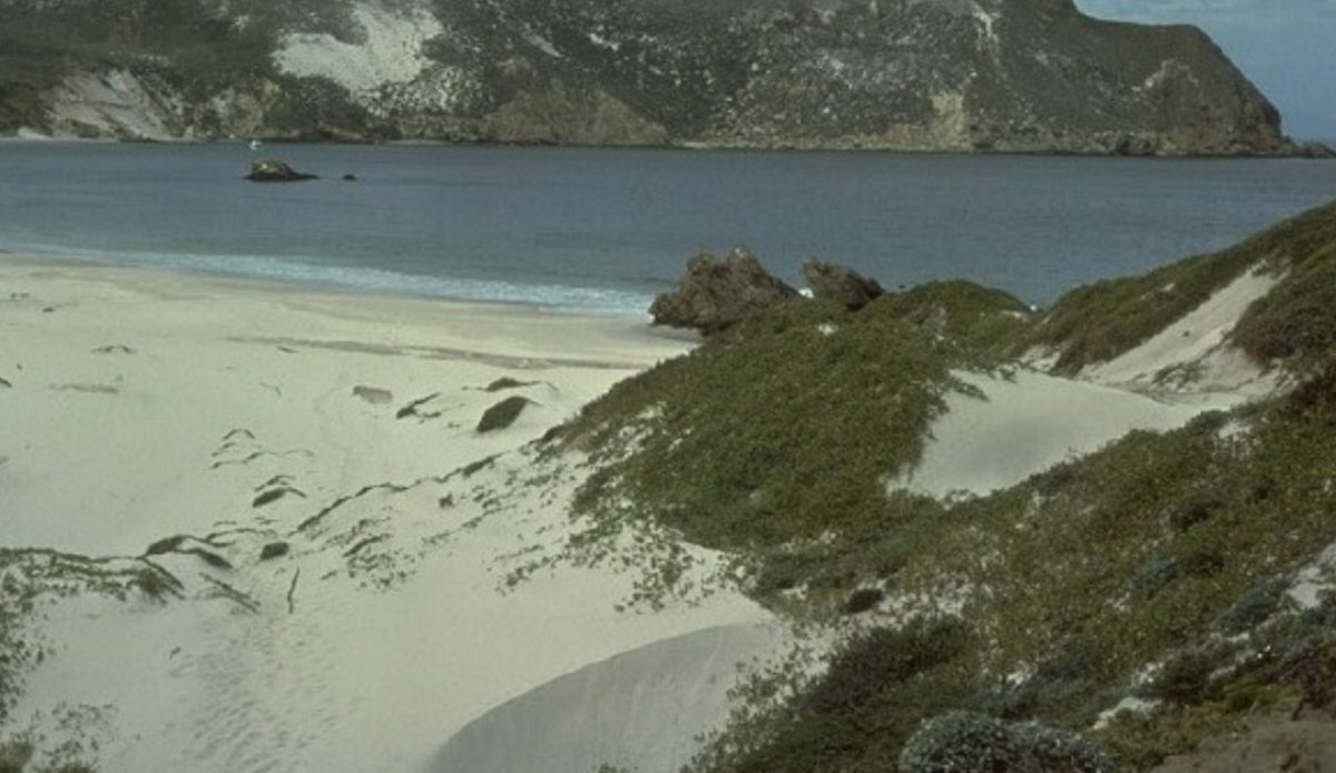 Channel Islands National Park, California