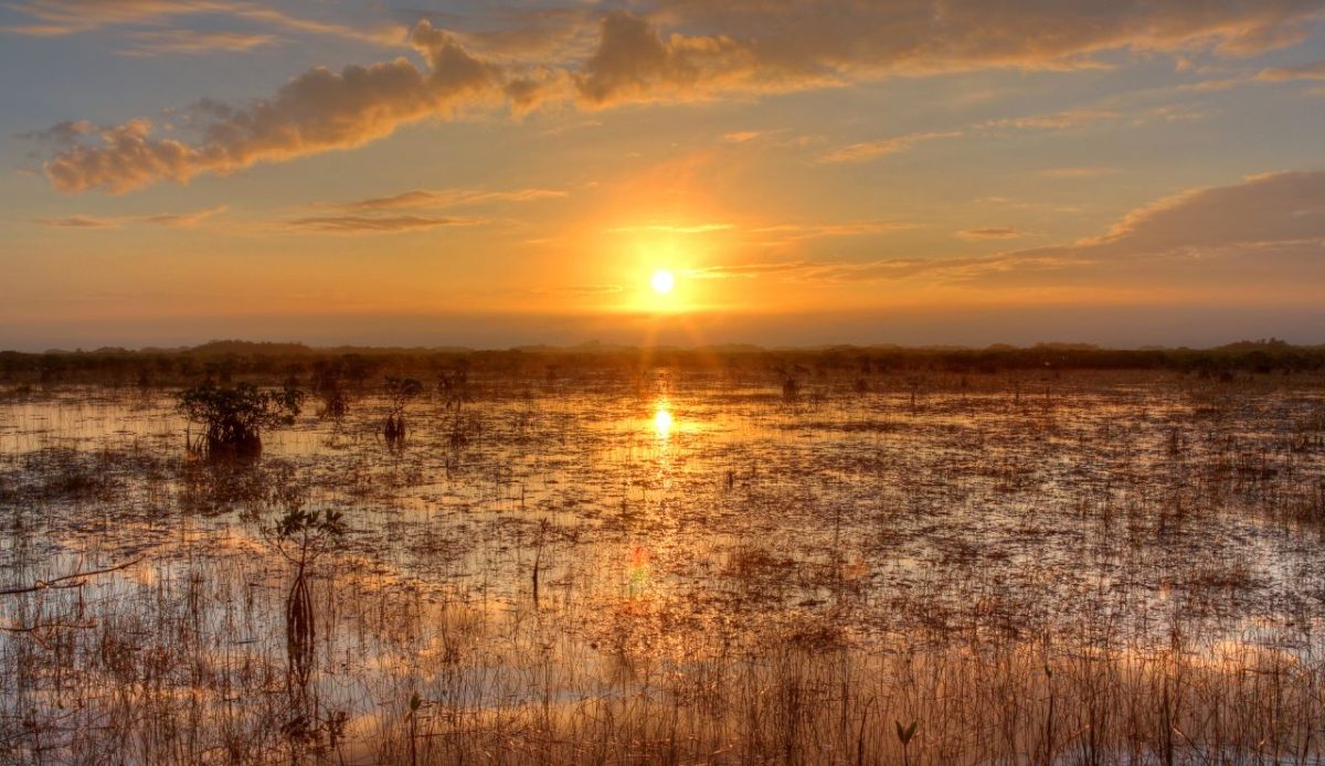  Everglades National Park
