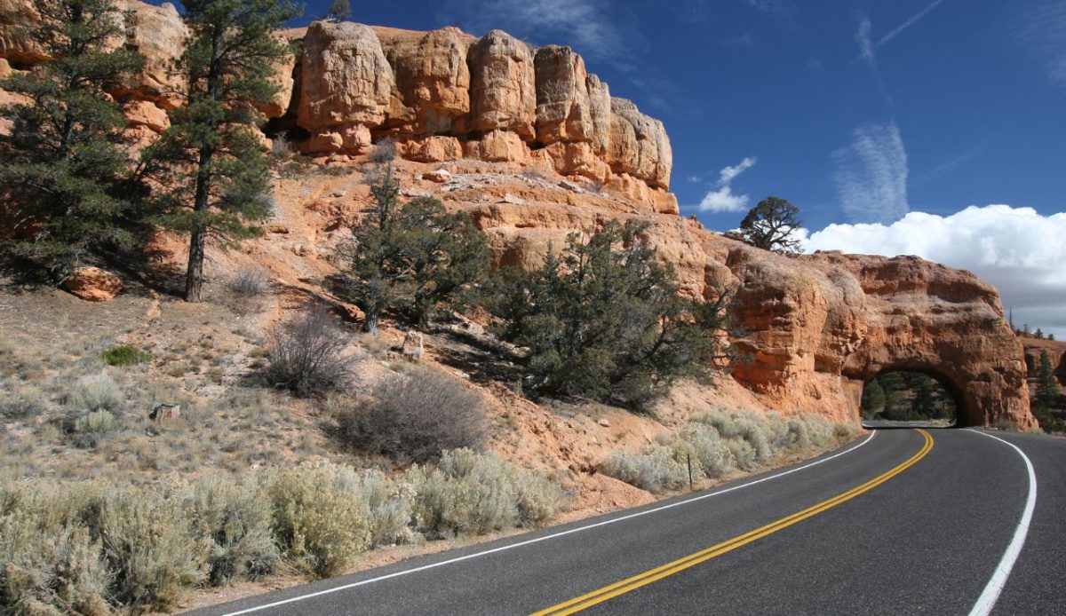 11 Scenic Drives Across America That Stay Beautiful All Year 1