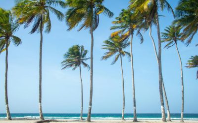 Home 2 11 Things That Instantly Make Floridians Feel at Home Anywhere