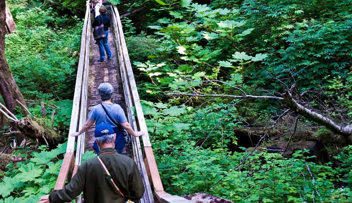 Walk the Ward Cove Nature Trails