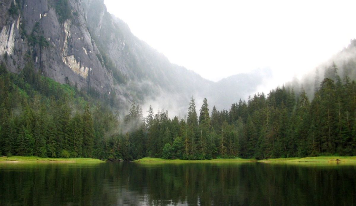 Take Photos of the Cove and Mountain Backdrop