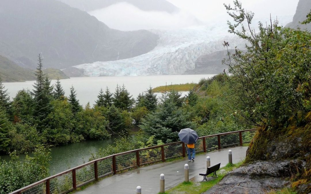 8 Free Things to Do in Ward Cove for Culture and Wildlife Lovers