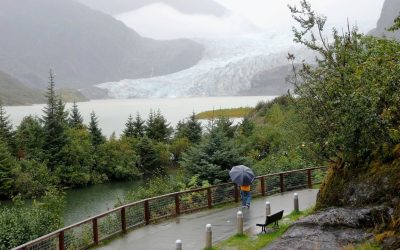 8 Free Things to Do in Ward Cove for Culture and Wildlife Lovers