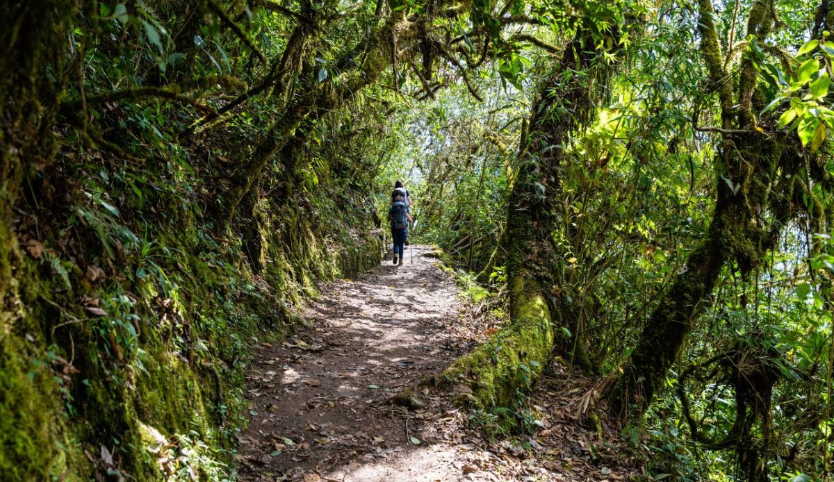 Inca Trail, Peru