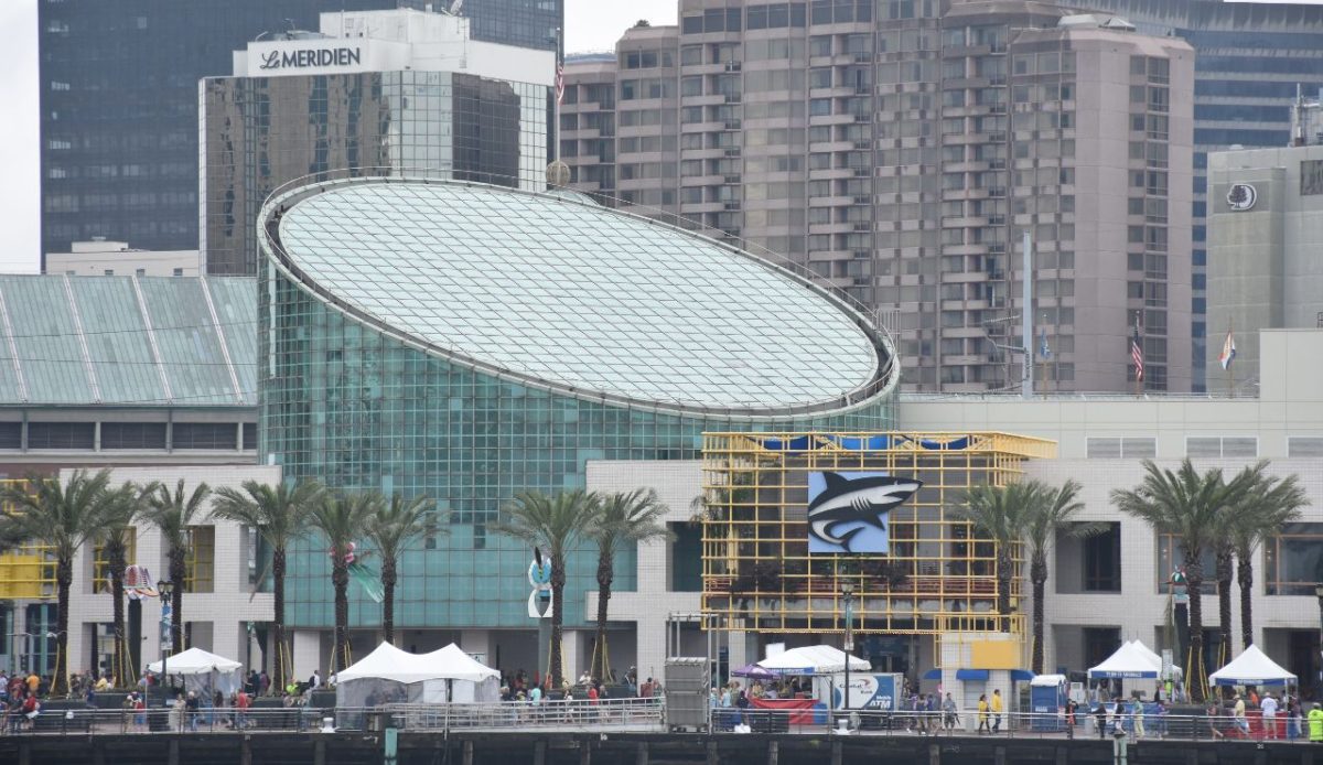  Explore the Audubon Aquarium