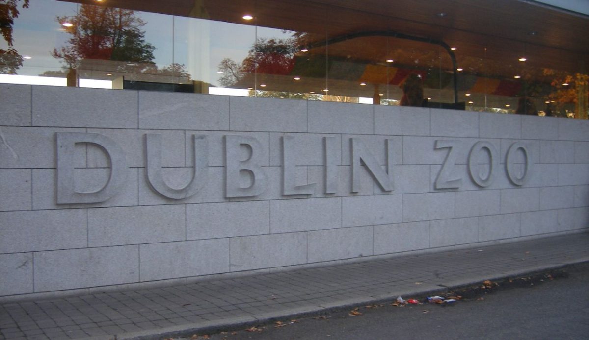 12 Great Activities for Teens Visiting Dublin 7