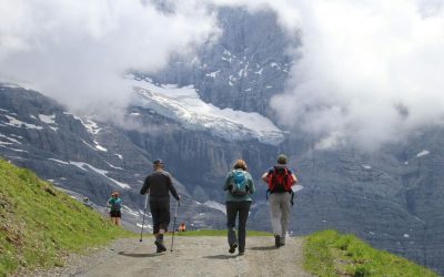 Home 1 12 Hiking Trips That Went Hilariously Off Script