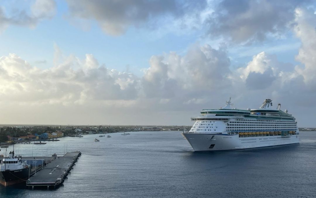 Cruise Line Shore Excursions vs Independent Tours Which Option Works Better for You