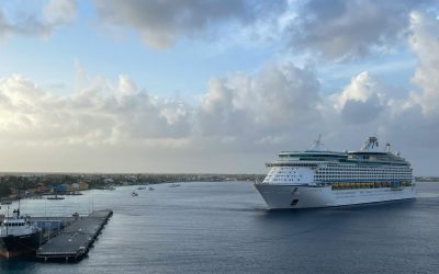 Cruise Line Shore Excursions vs Independent Tours Which Option Works Better for You
