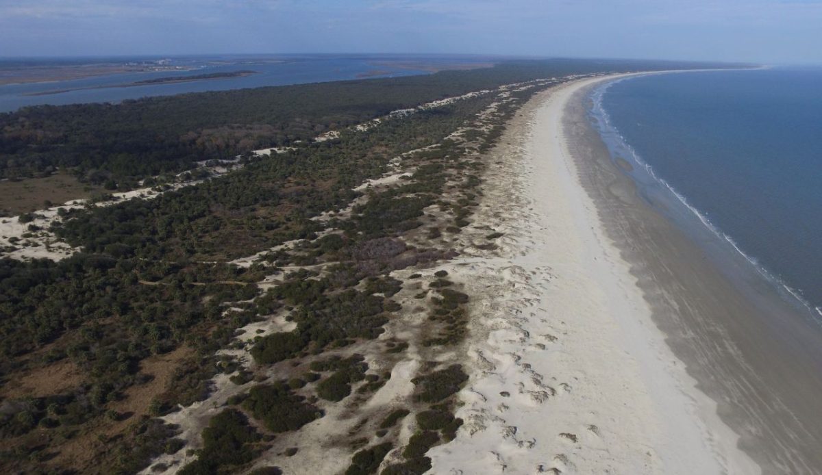Cumberland Island, Georgia