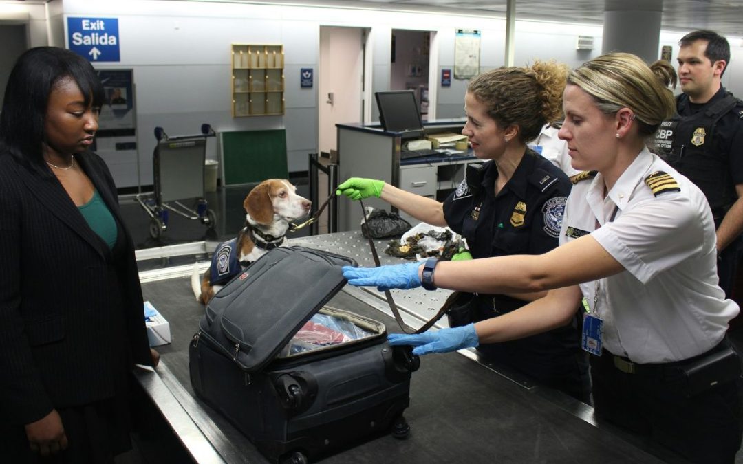 What TSA Officers Notice First When You Step Into Airport Security