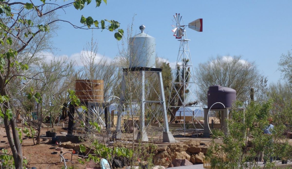 9 Fun Things to Do in Las Vegas With Kids That Go Beyond Casinos 5 Springs Preserve