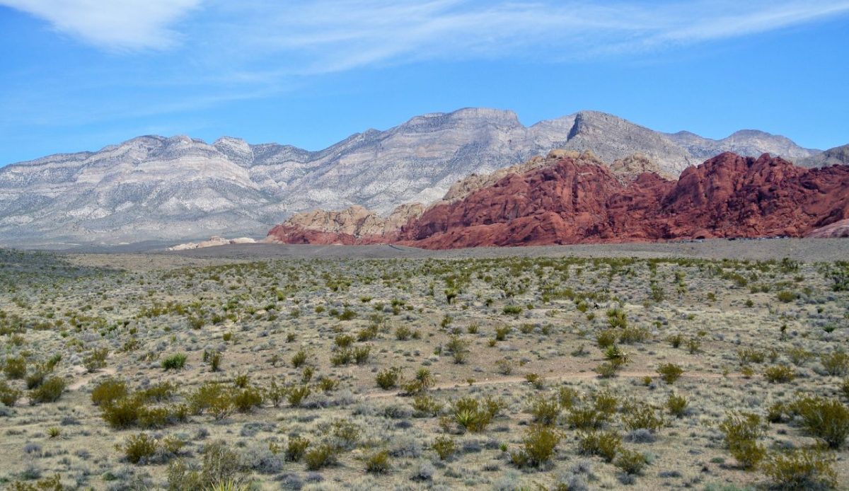 9 Fun Things to Do in Las Vegas With Kids That Go Beyond Casinos 8 Red Rock Canyon National Conservation Area