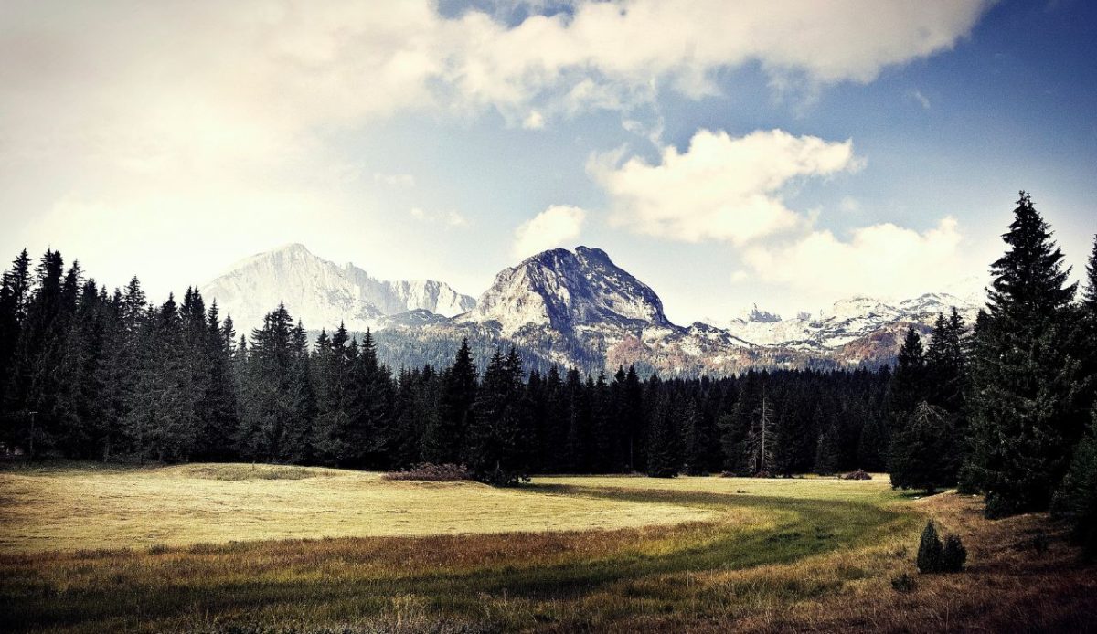 Mountain Adventures Meet Coastal Views