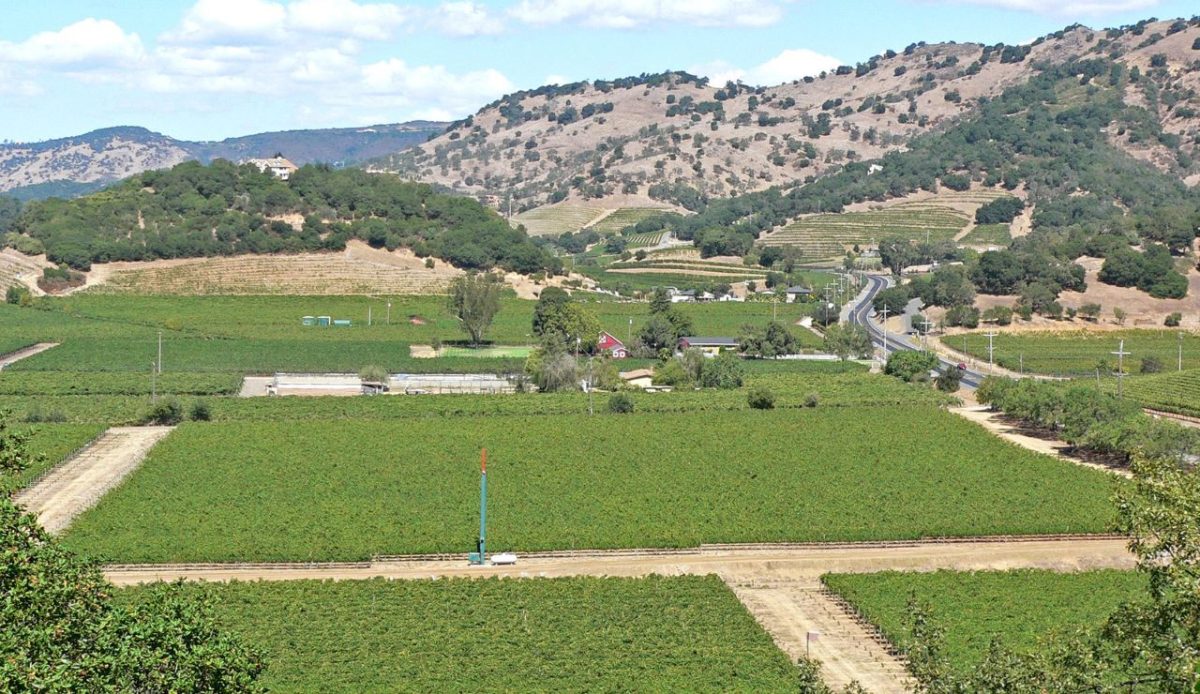 Sones Cellars, Santa Cruz