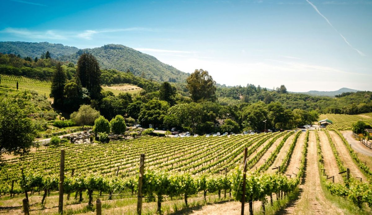 Ram’s Gate Winery, Sonoma