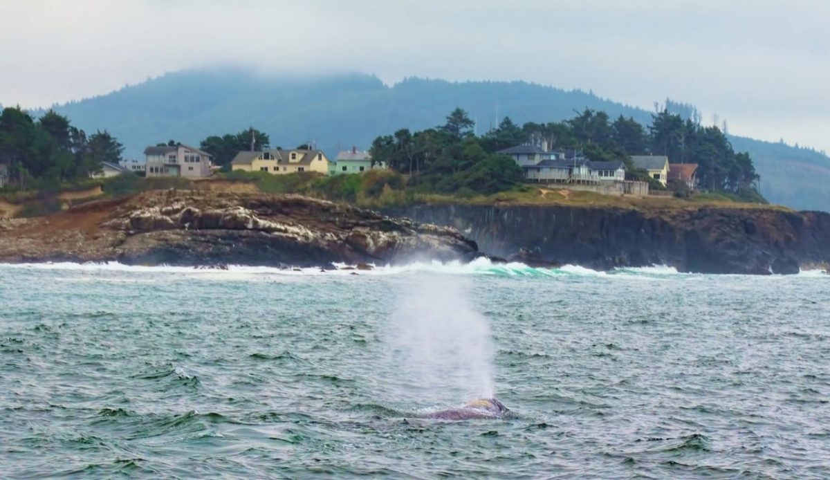 Yachats, Oregon                    