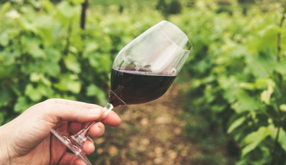 a glass of wine       