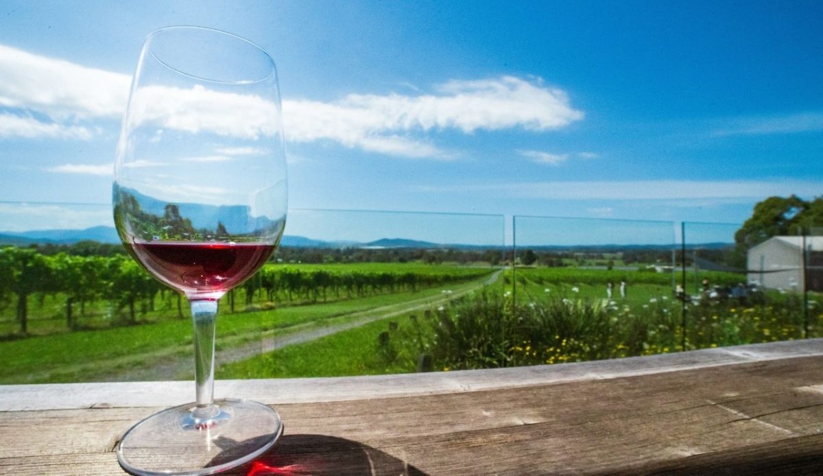 a glass  of wine is placed at table in front of wine garden                    