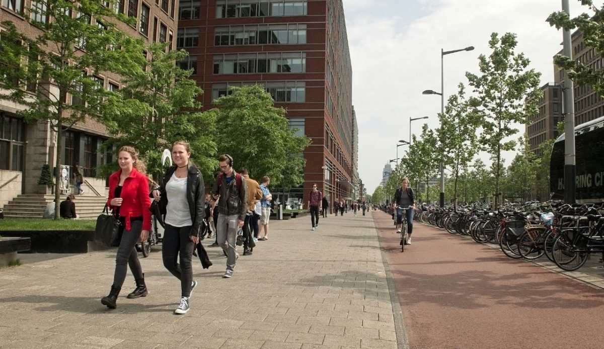 a group of people walking at Pedestrian-Friendly Design streets                       