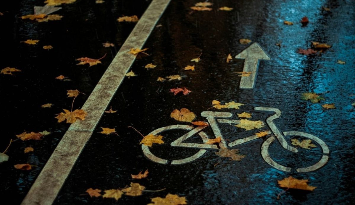 bike lane sign       