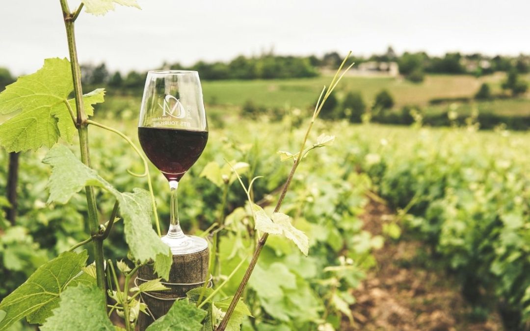 9 Wineries in Sicily and Sardinia for Island Views and Unforgettable Wines