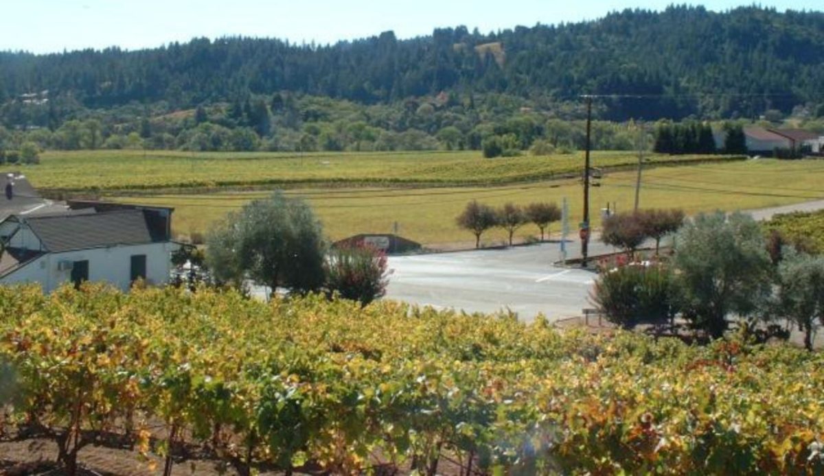  Bella Vineyards, Healdsburg