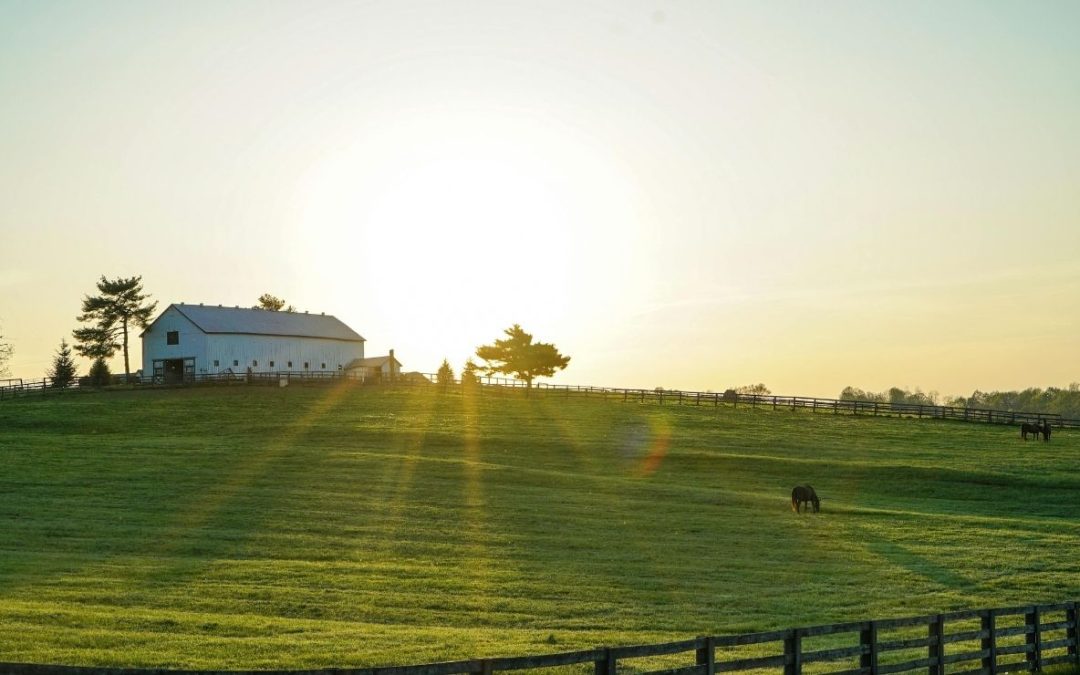 8 Small Kentucky Towns I Passed Through but Would Gladly Visit Again