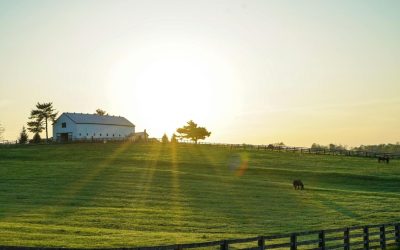 8 Small Kentucky Towns I Passed Through but Would Gladly Visit Again