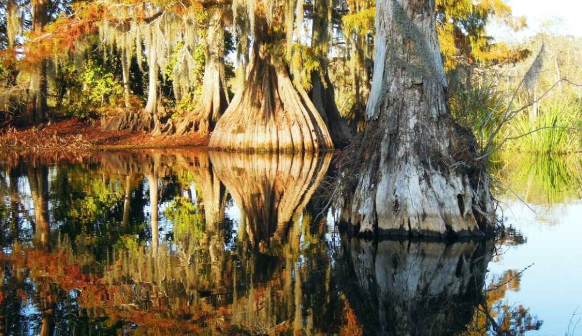 lake chicot in Chicot State Park, Louisiana       