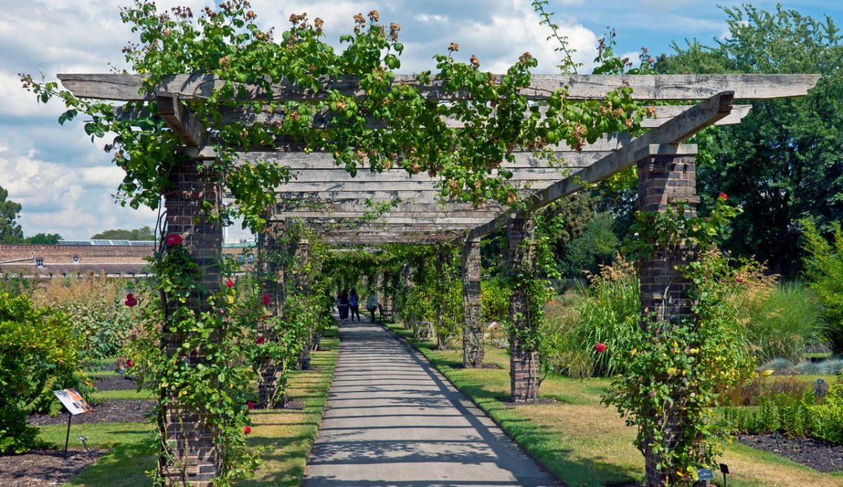 10 Beautiful Gardens to Explore in London 4