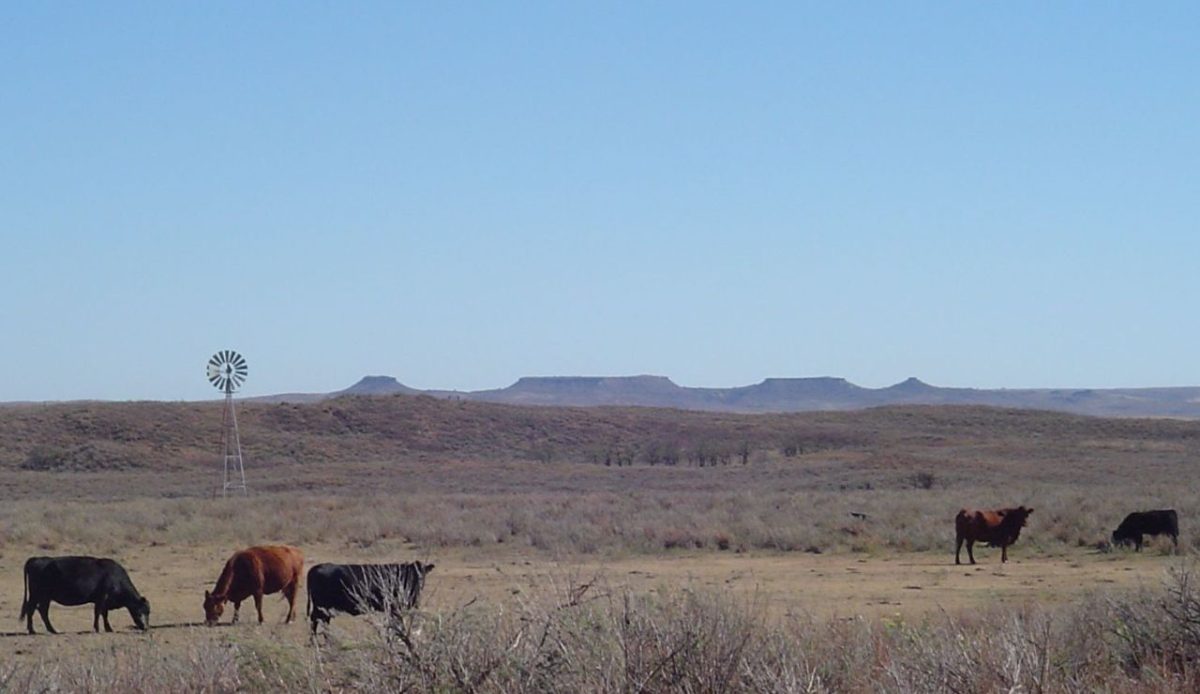 Western Kansas and Oklahoma Panhandle