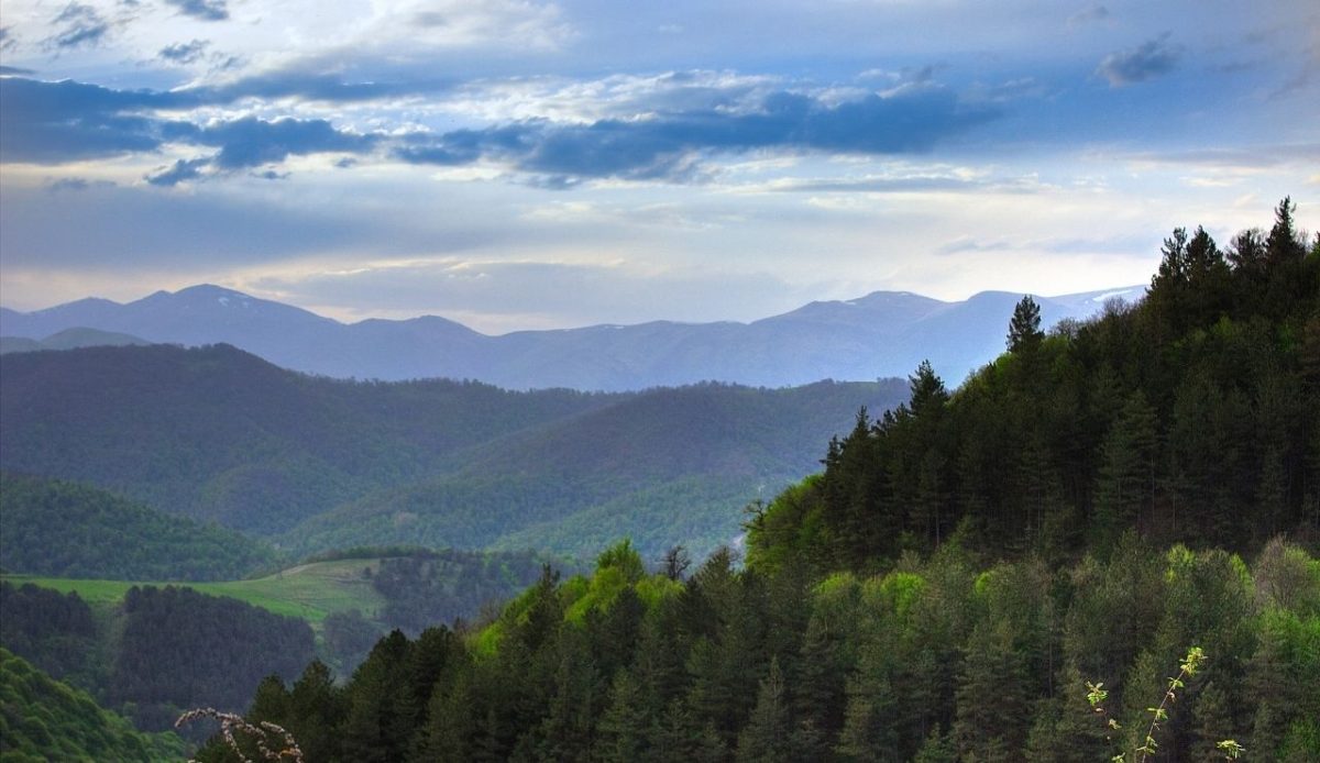 Hike in Dilijan Park     