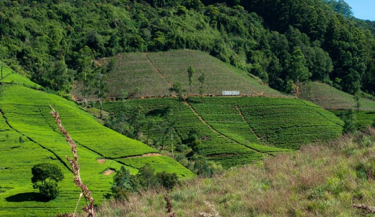 Central Highlands, Sri Lanka       