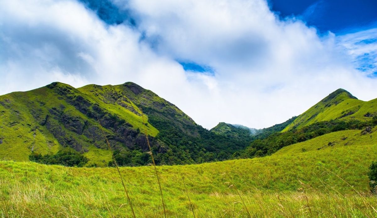 Wayanad, Kerala, India    