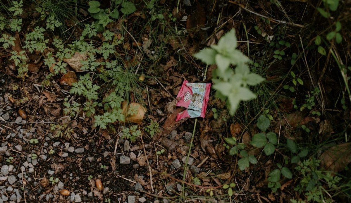 A discarded wrapper on a wooded trail                  