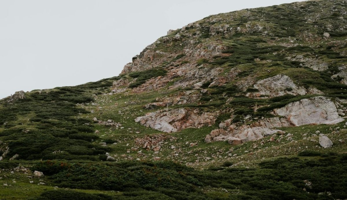 Alma, Colorado                           