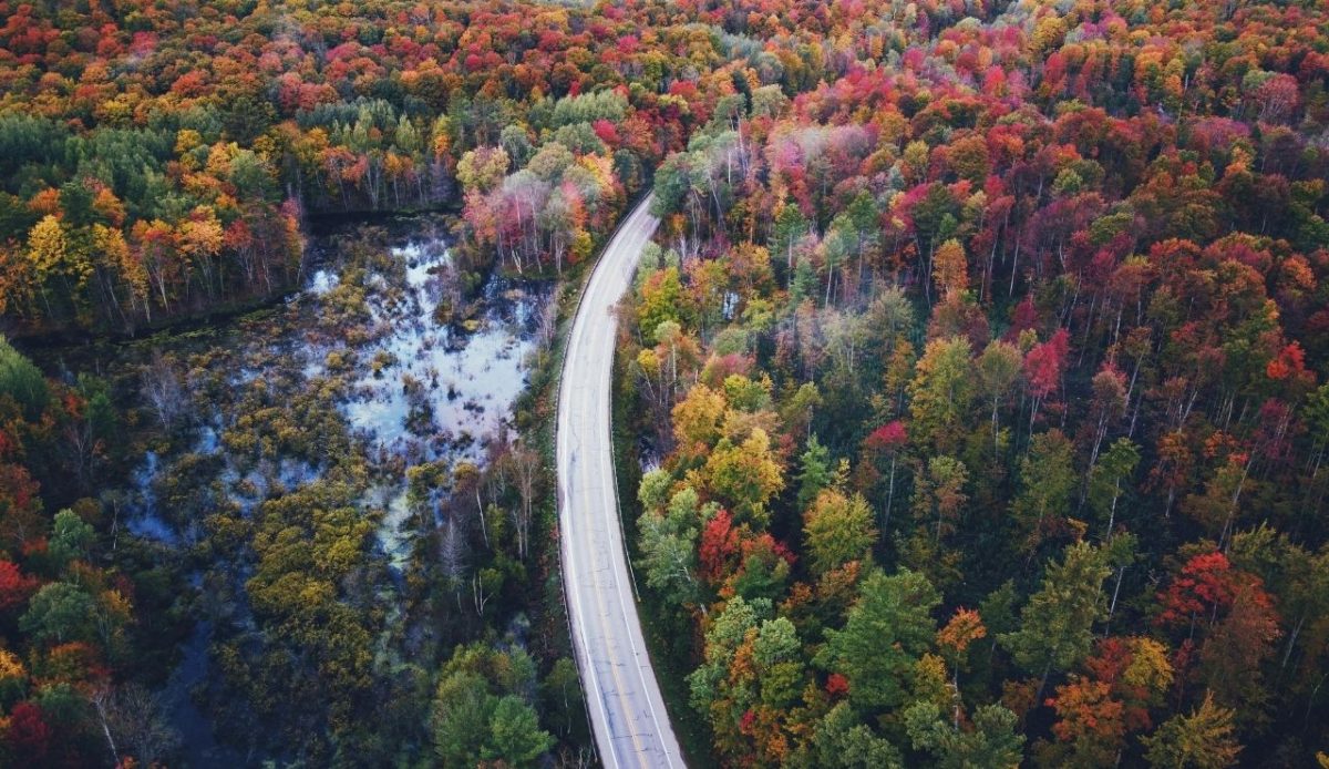 Boyne Falls, Michigan                        