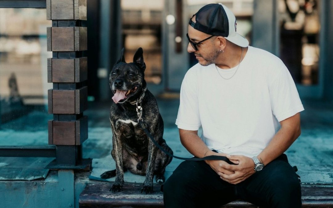 The 10 Best U.S. Cities for Dog Owners for Strolls and Cafes