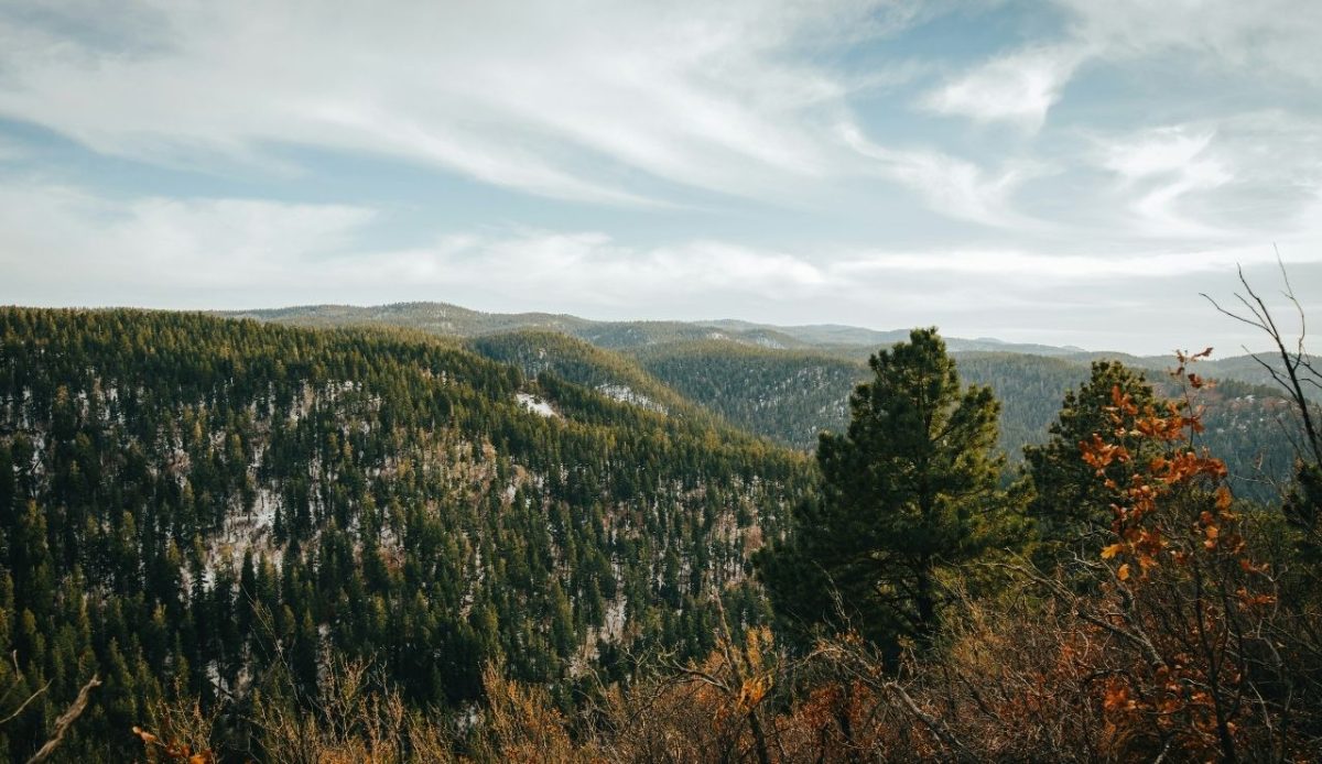 Cloudcroft, New Mexico                   