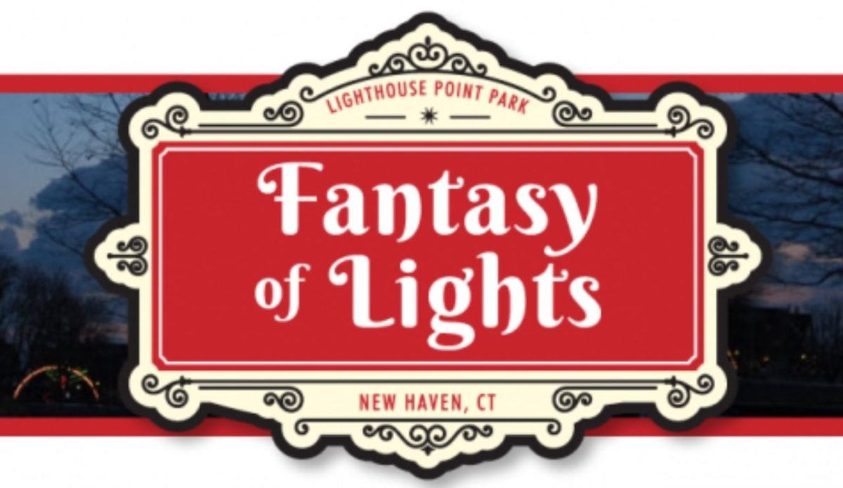Fantasy Of Lights                 