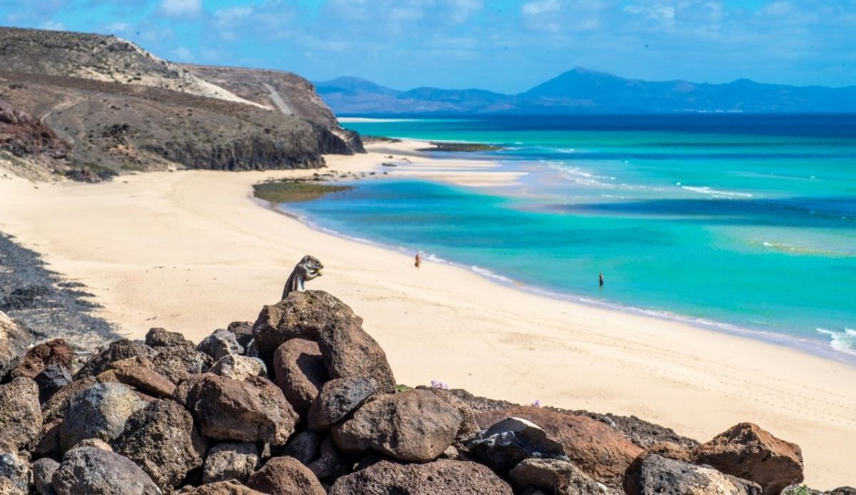 Fuerteventura, Canary Islands               