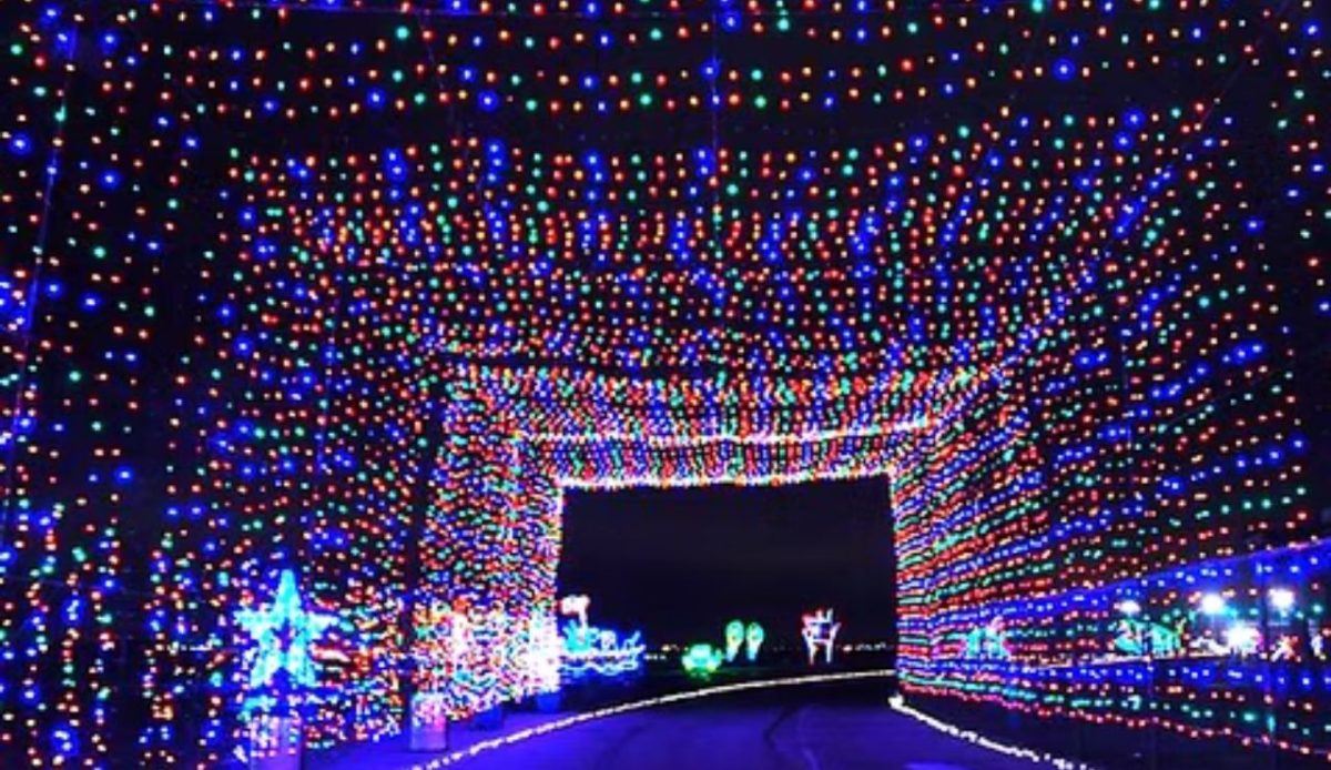 Gift Of Lights               