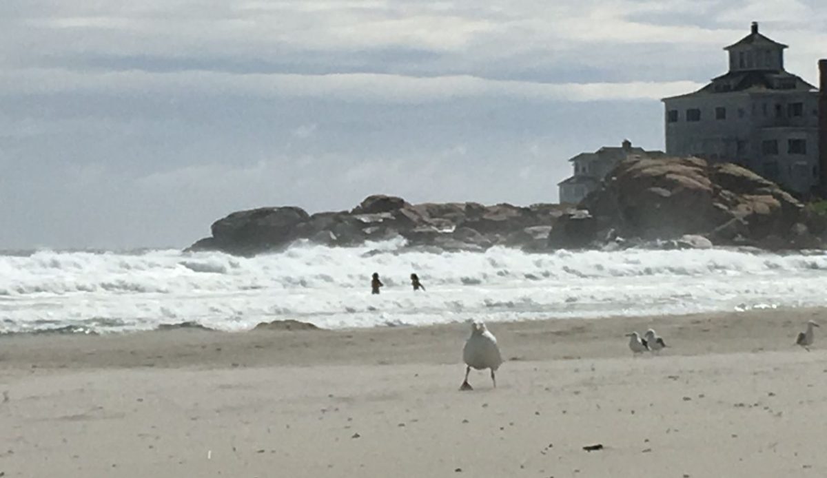 Good Harbor Beach, Gloucester                             