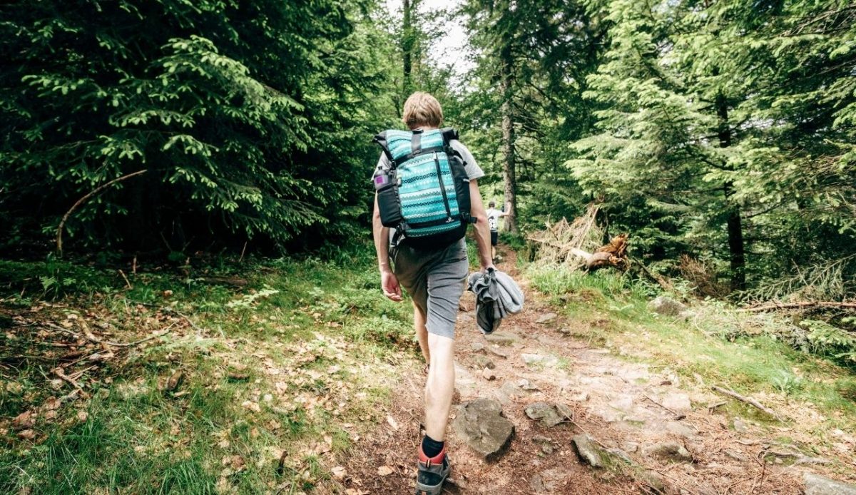 Hiker walking through a forest trail without visible safety gear                  