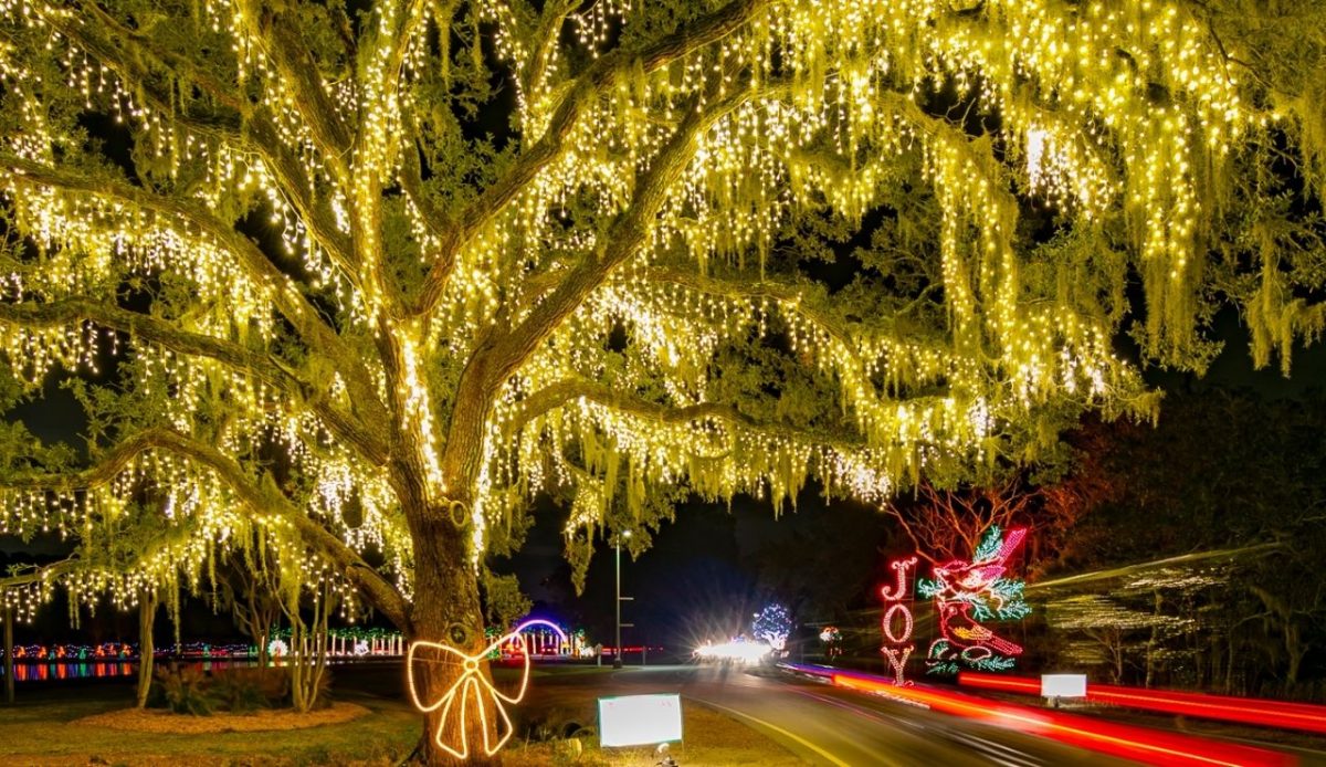Holiday Festival Of Lights                      