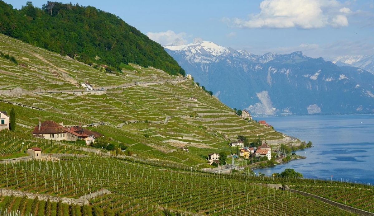 Lavaux, Vineyard Terraces and magnificent landscapes of Lake Geneva, Lausanne, Switzerland                                
