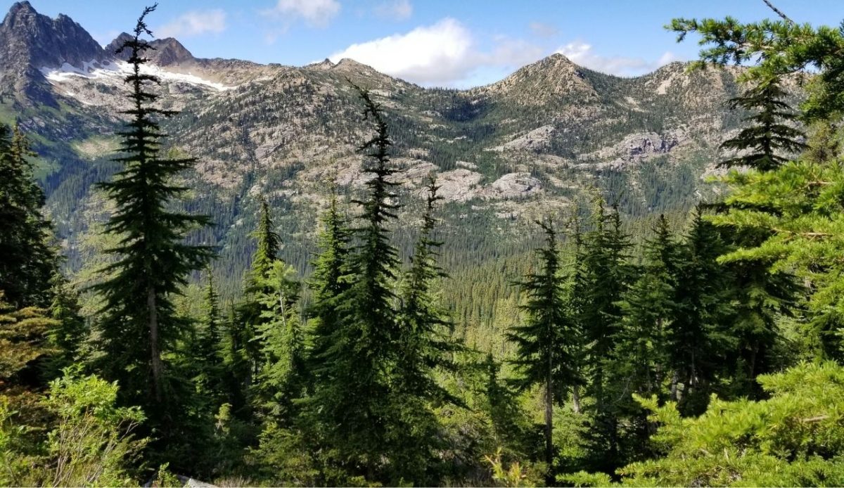 Mazama, Washington                       